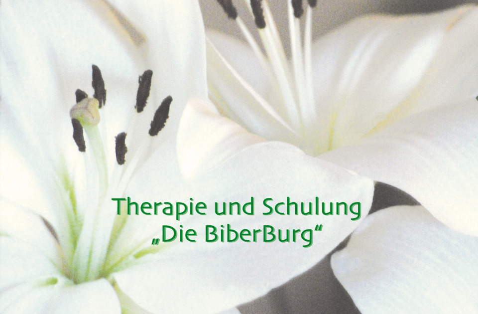 (c) Diebiberburg.com
